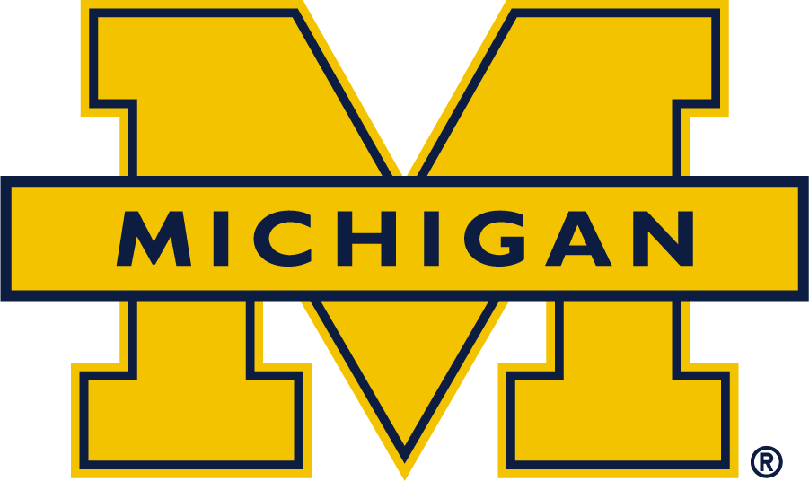 Michigan Wolverines 2016-Pres Secondary Logo iron on transfers for T-shirts